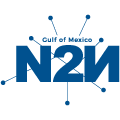 Network-to-Network for the Gulf of Mexico Logo